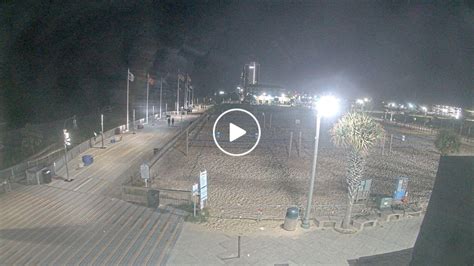 reallaifcam|EarthCam